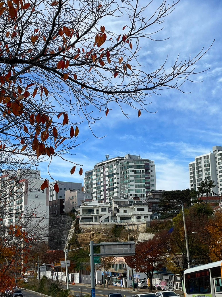 비씨디이 이미지