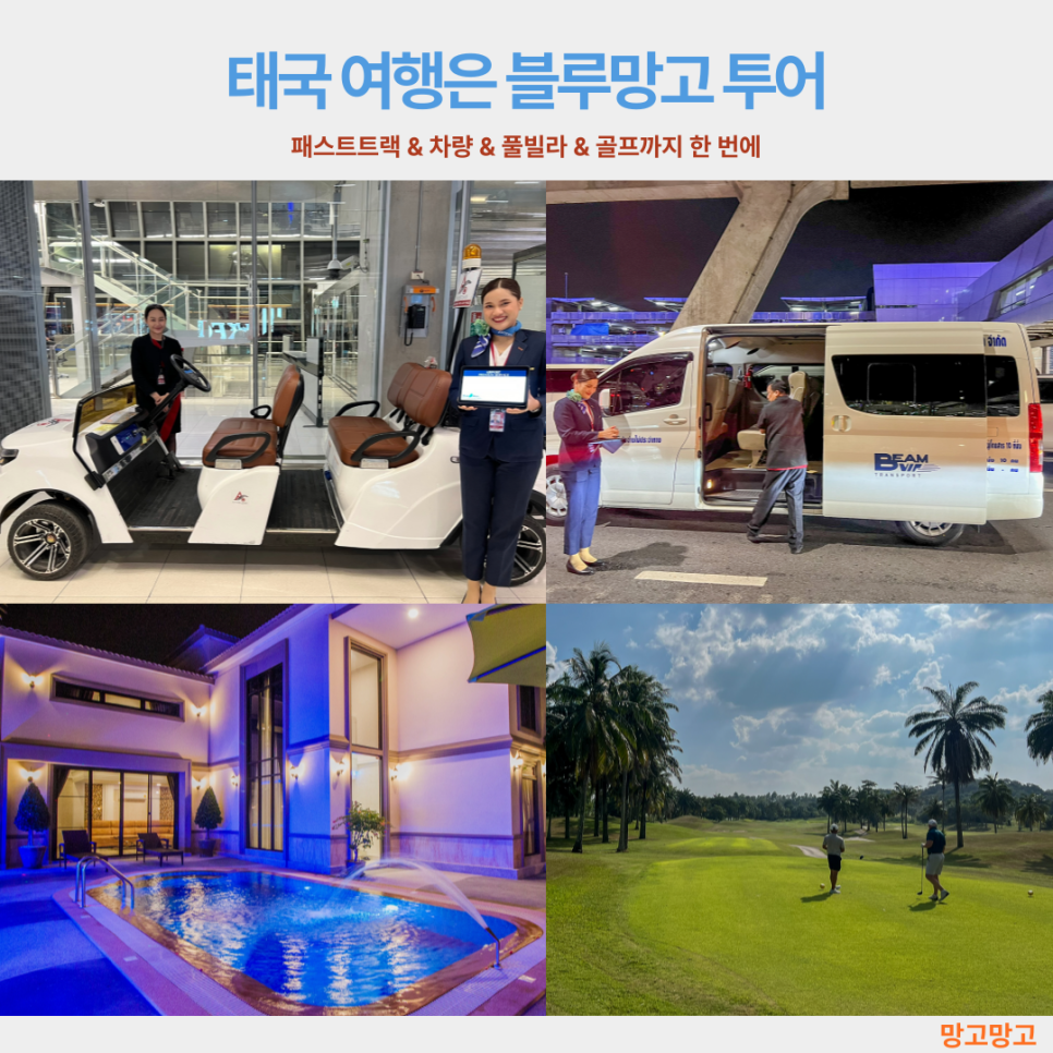 블루망고투어 이미지