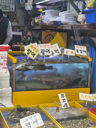 재형호 이미지