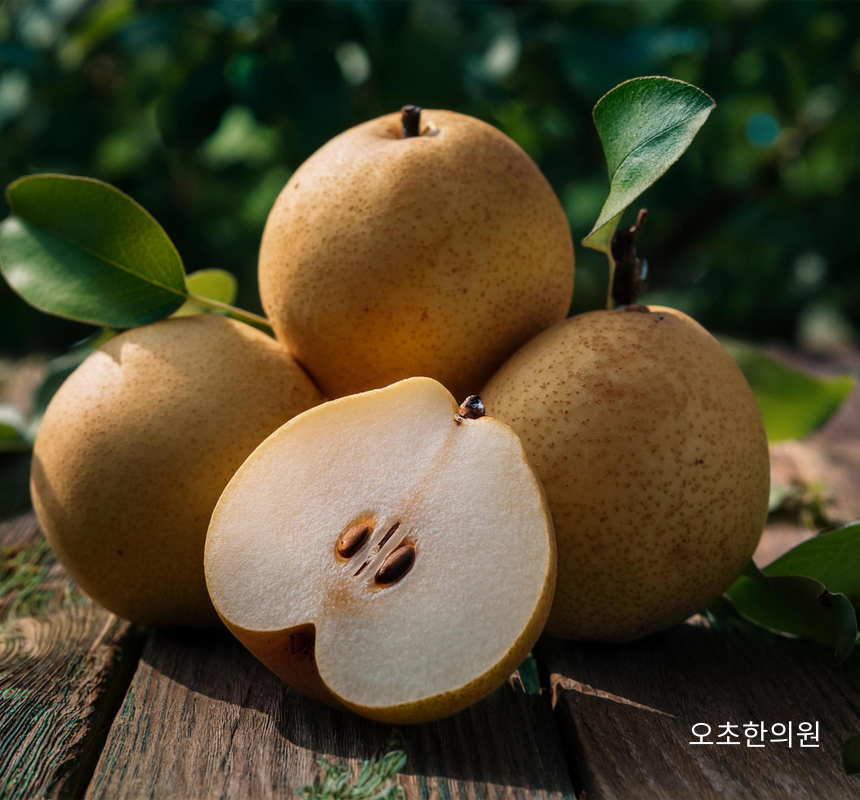 오초한의원 이미지
