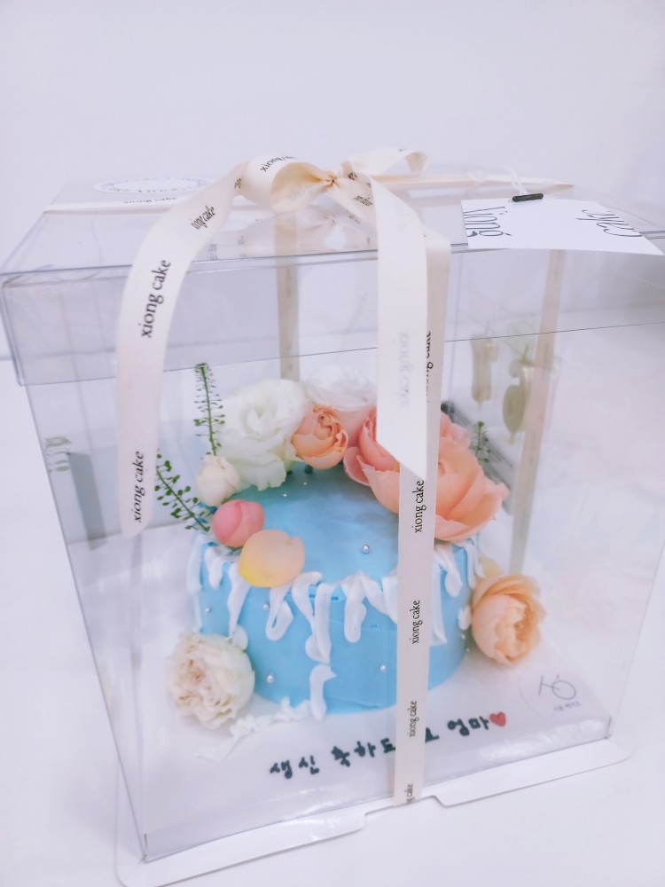 시옹(xiong) 이미지