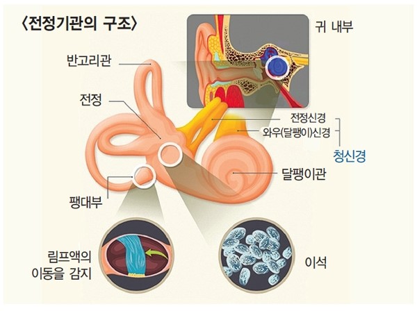 바른지성한방병원 이미지