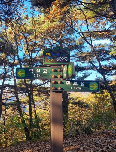 솔밭정 이미지