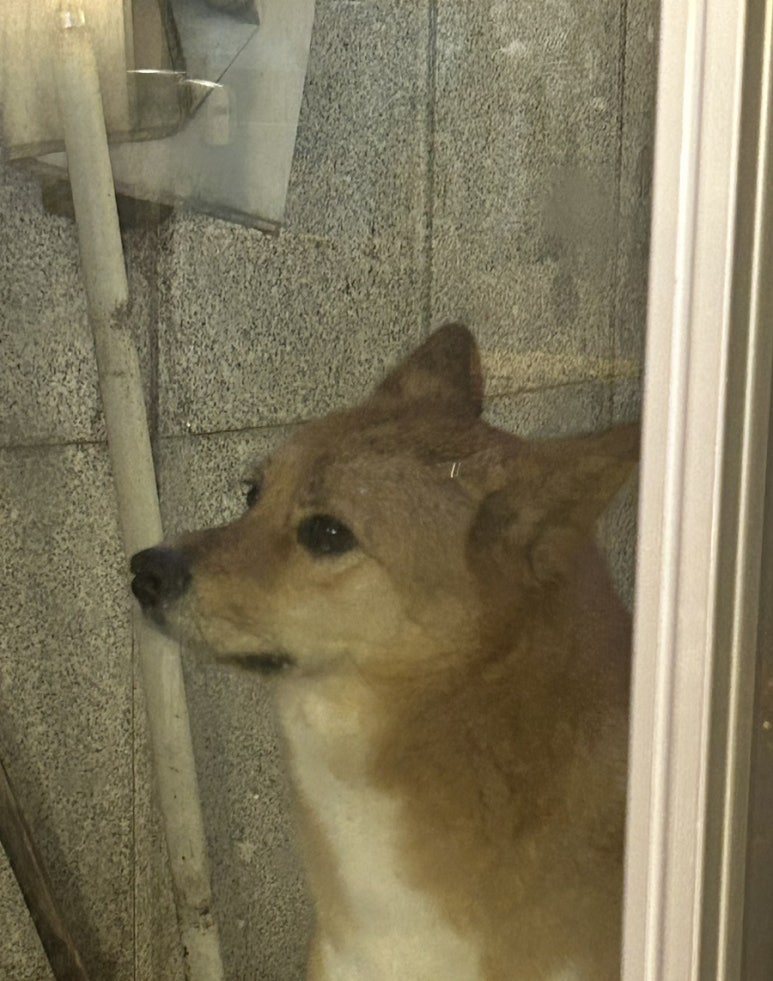 태성한우숯불 이미지