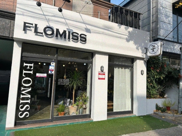 플로미스 이미지