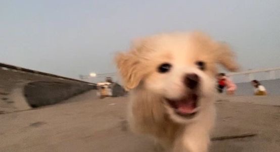 주림 이미지