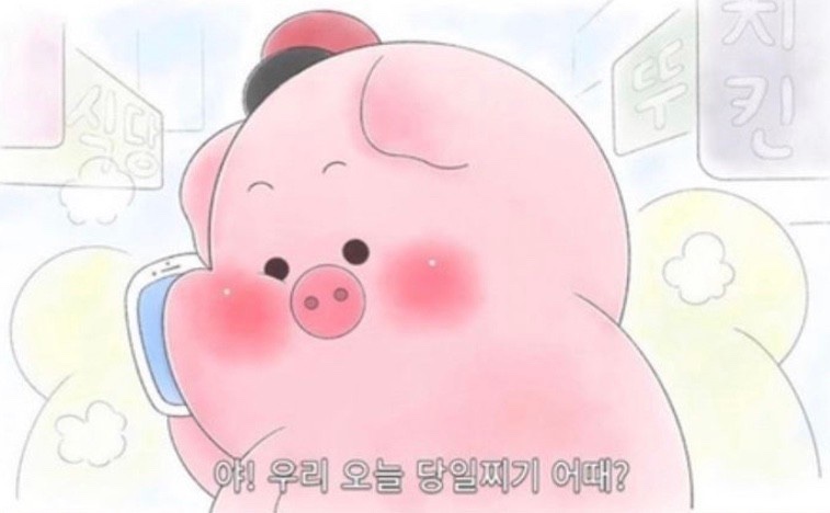 면식맛집 이미지