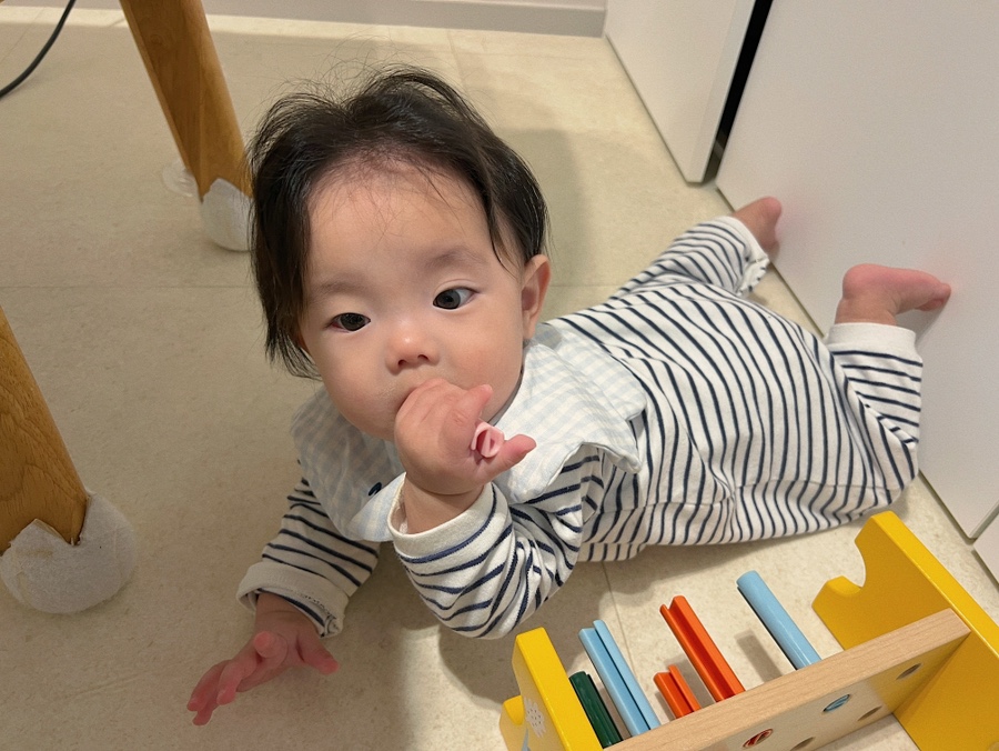 아리의음악학원 이미지