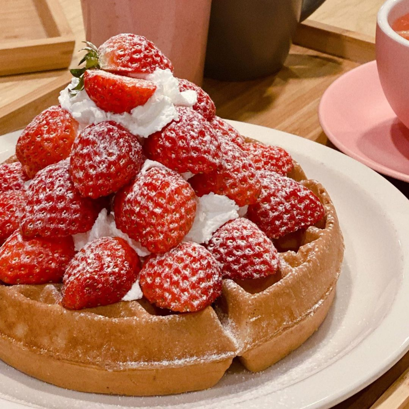 와플로아(Waffle loa) 이미지