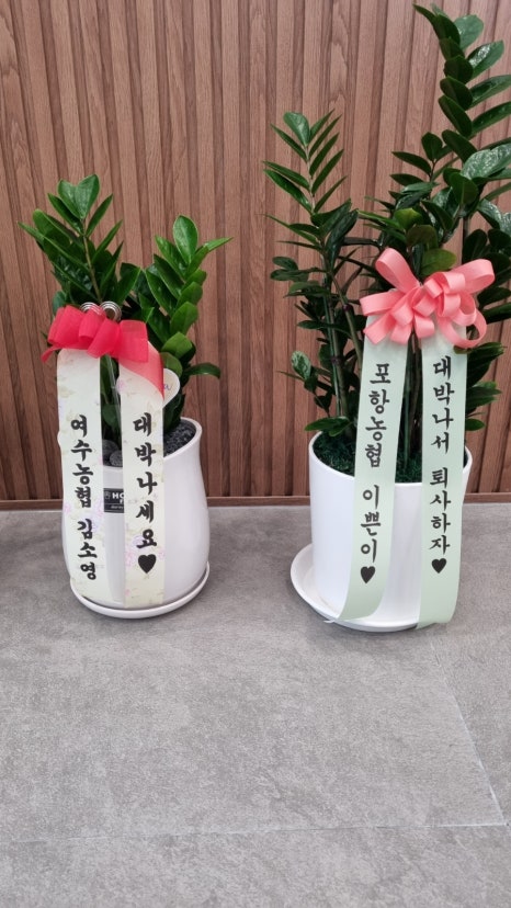 참새제과 광양점 사진 4
