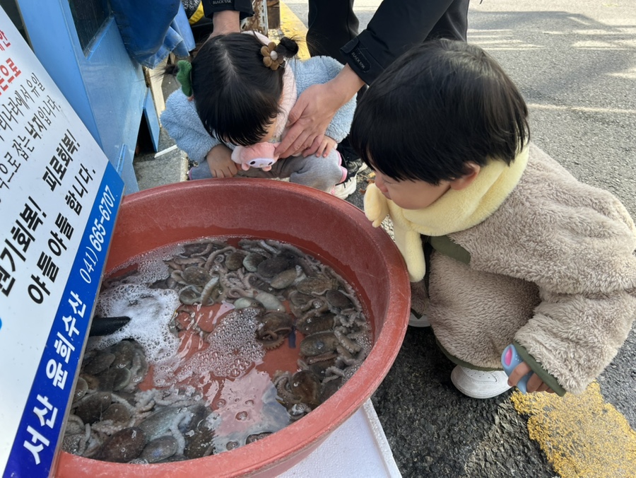 서산수산수산코너 이미지
