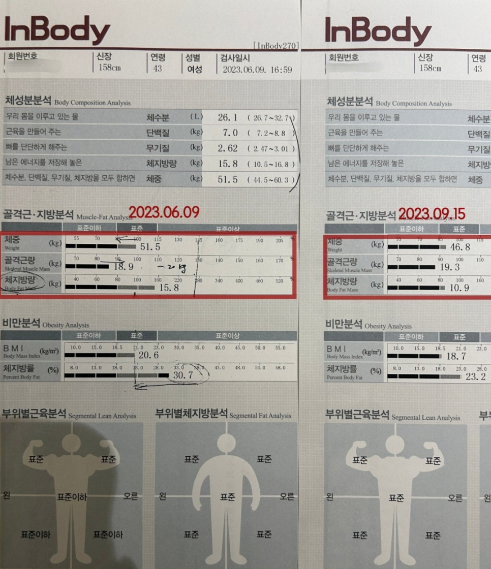 더핏하이브 이미지