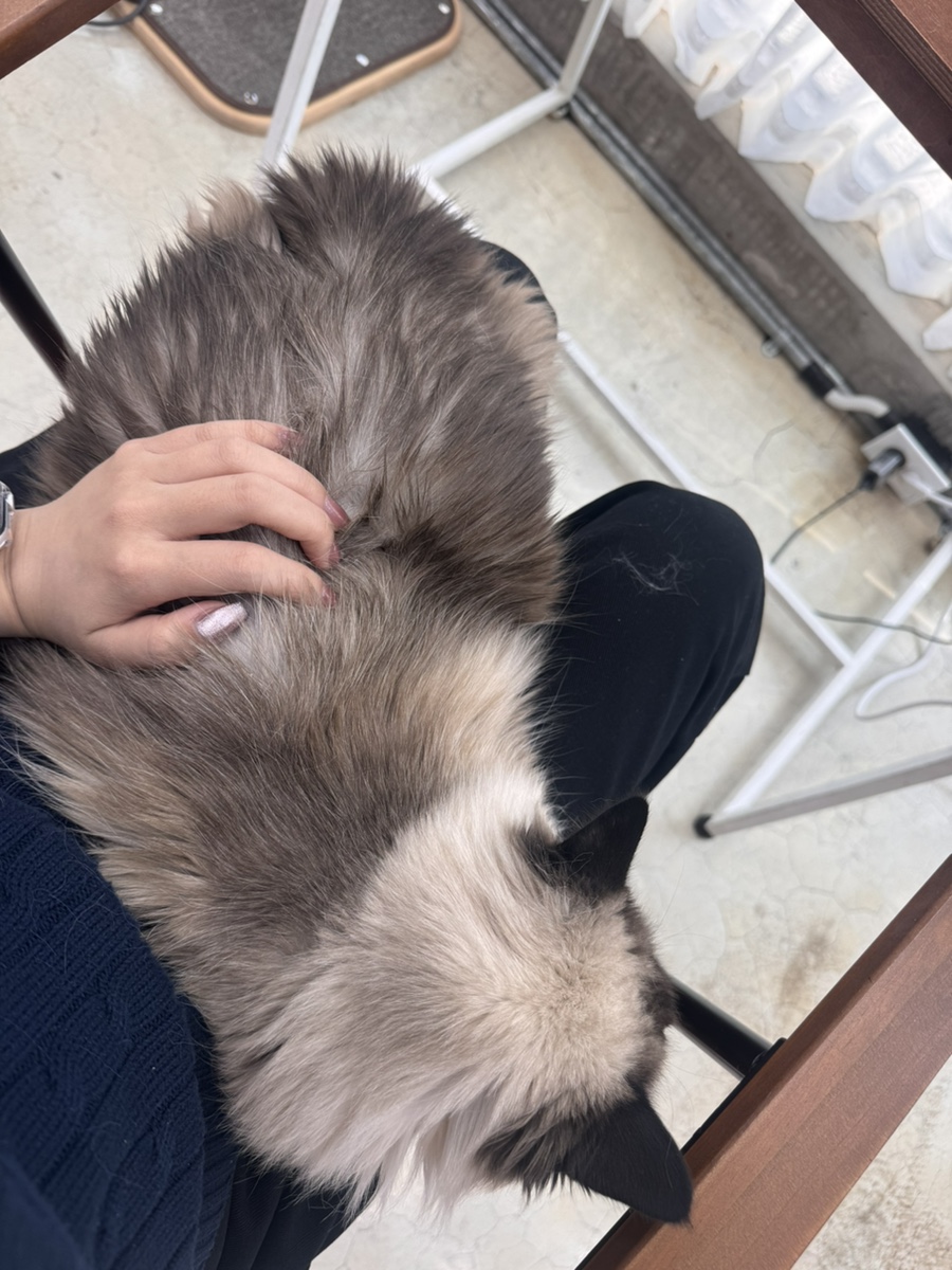연남동 미누 이미지