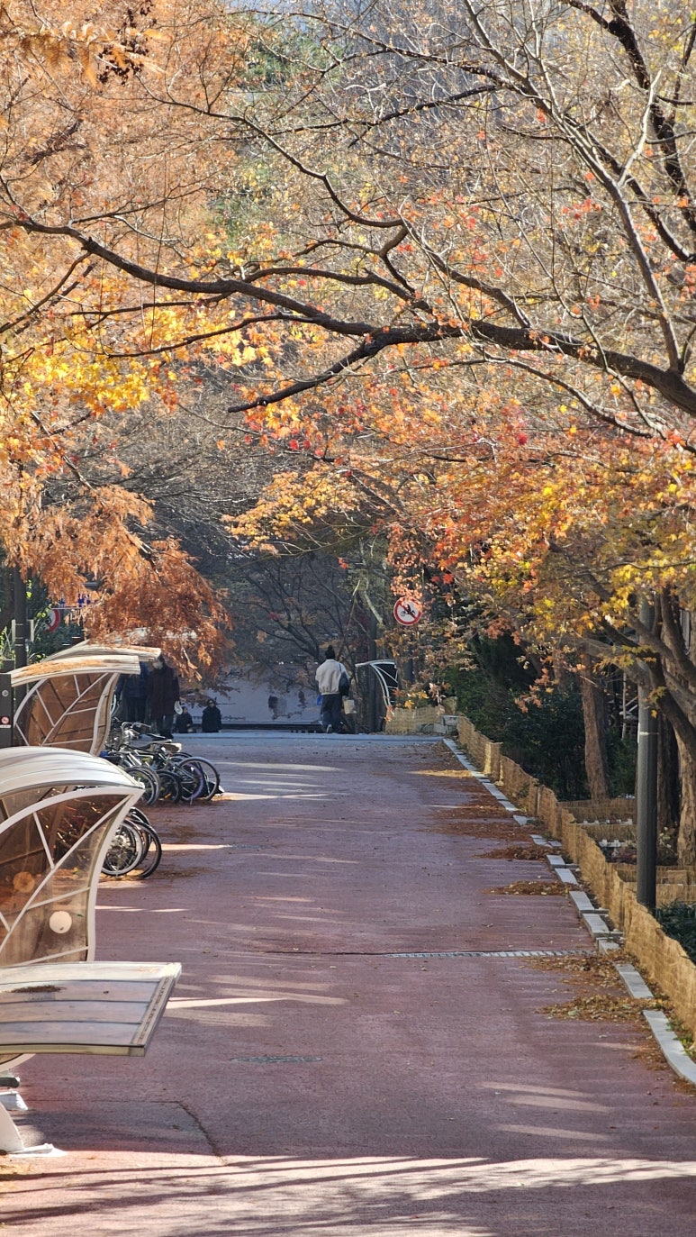 행림원 이미지