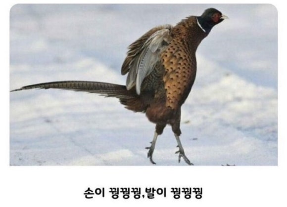 팔팔세탁소 이미지