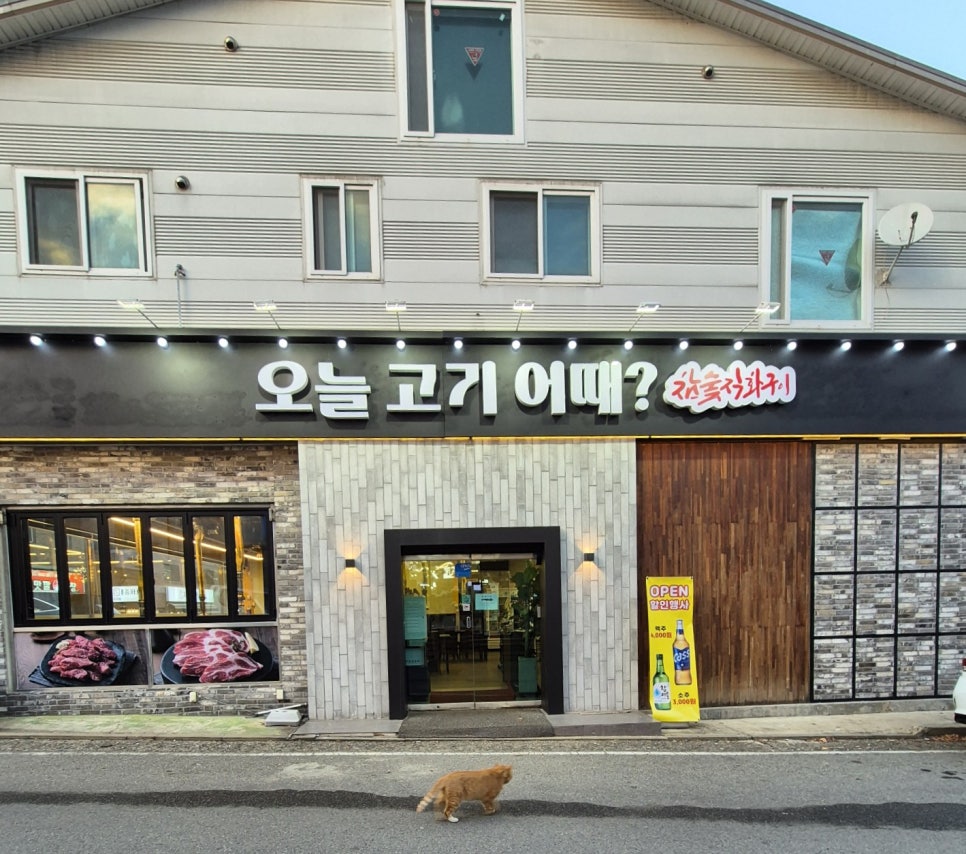 오늘고기어때 이미지