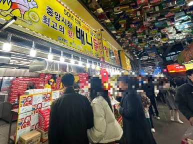 초원부침 이미지