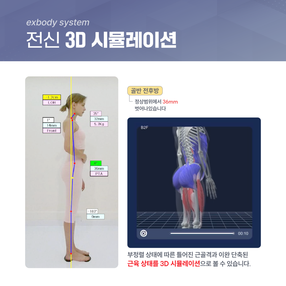 노경우퍼스널트레이닝 이미지