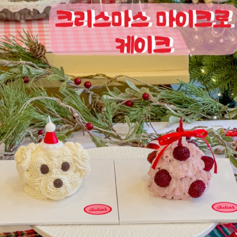 포티드플라워스튜디오 이미지