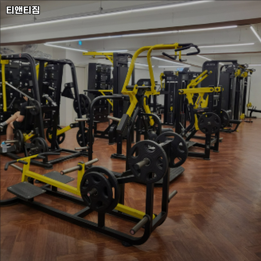 티앤티짐 이미지