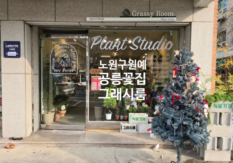 그래시룸 이미지