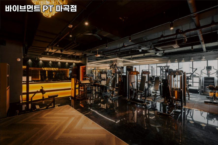 바이브먼트 이미지