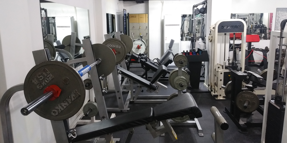 삼손스포츠수기명가 이미지