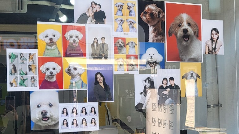 오호라사진관 이미지