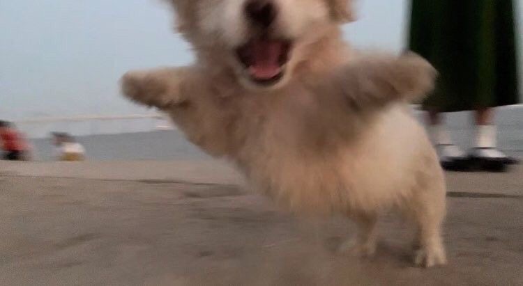 주림 이미지