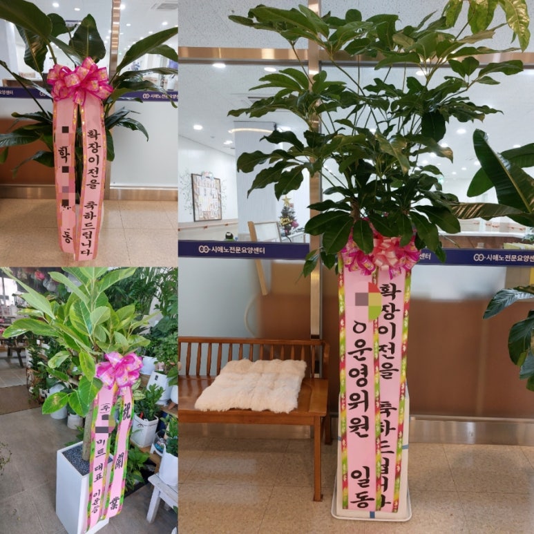 풀림화원 이미지