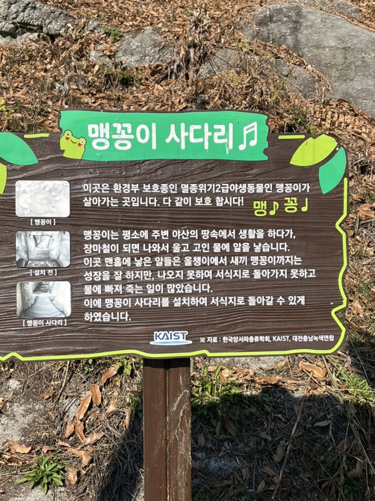 궁동다맛집 이미지