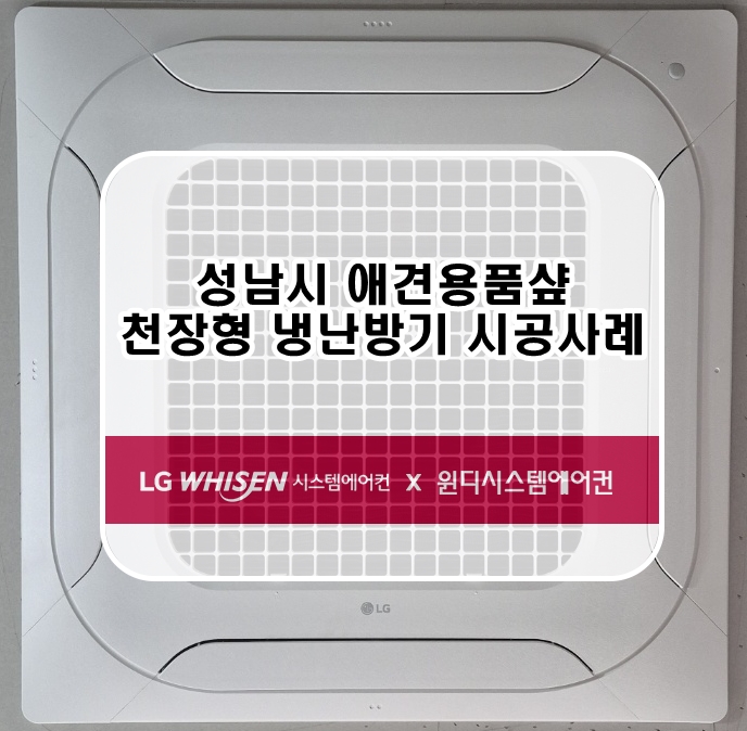 윈디시스템 이미지