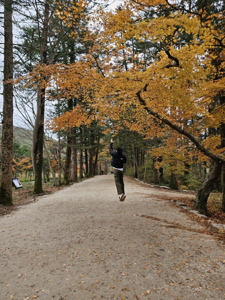 변산농협 격포하나로마트 이미지