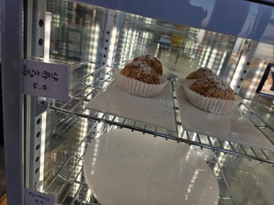 장고목 이미지