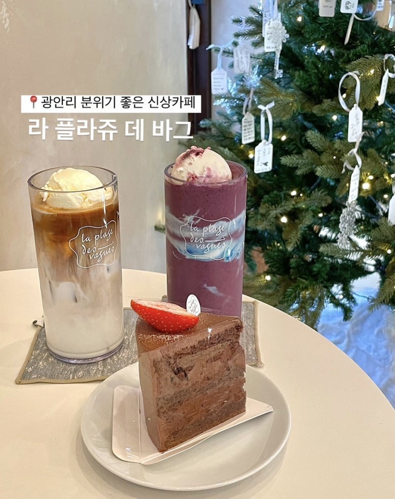 라플라쥬데바그 이미지