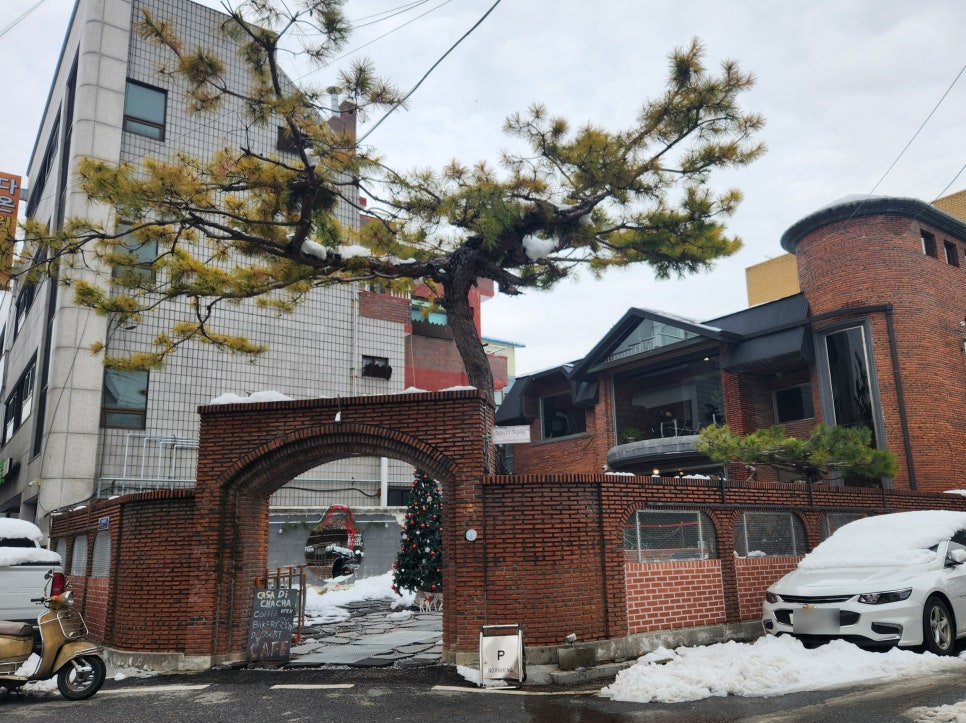 까사디차차 이미지