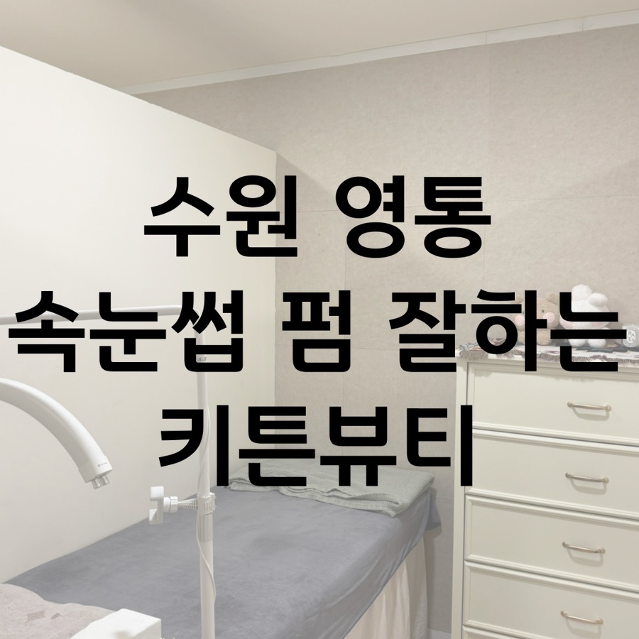 키튼뷰티 이미지