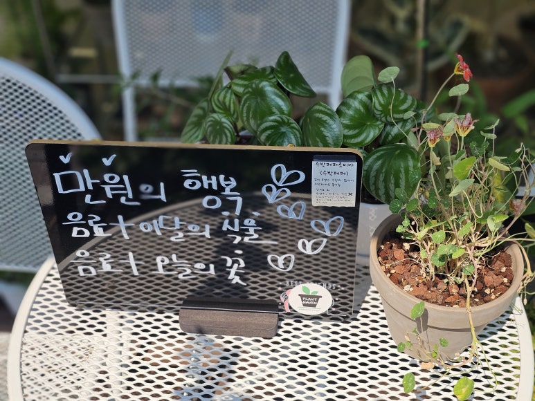 플랜트해븐 이미지