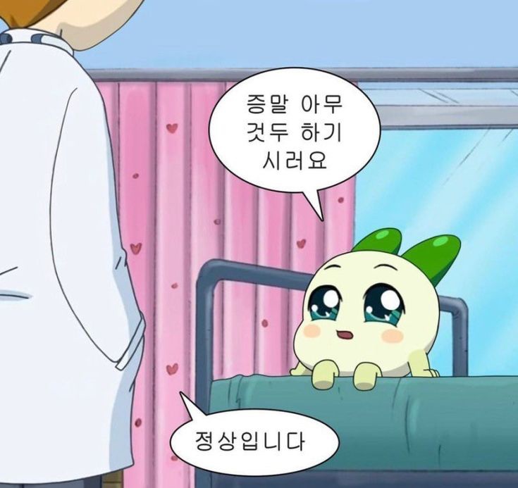 오시오 캠프 이미지