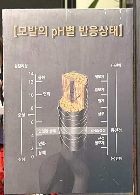 살롱드루시 이미지