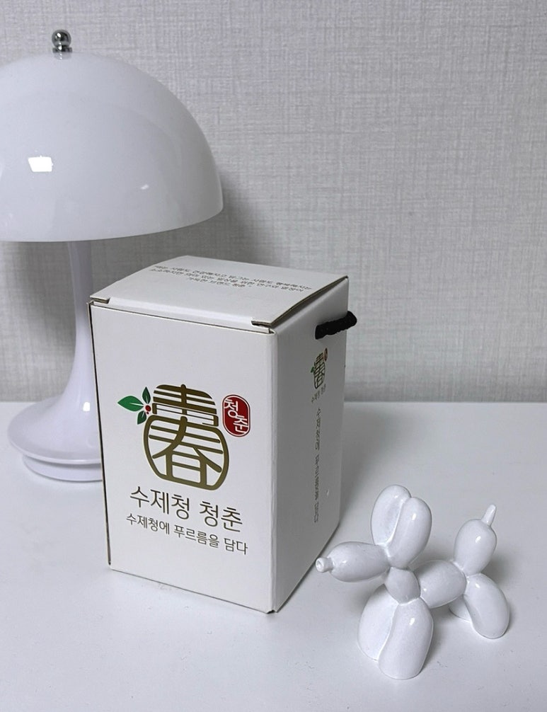 수제청청춘 이미지