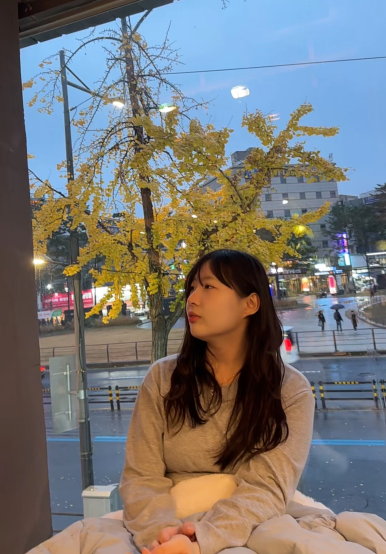 벌툰포항 이미지