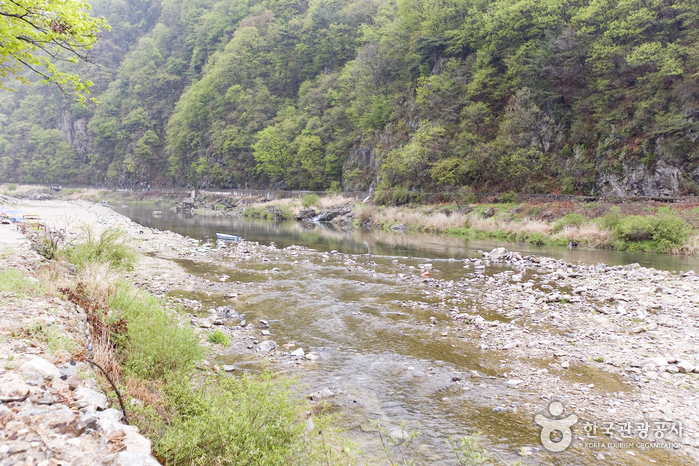 풍혈산캠핑장 이미지