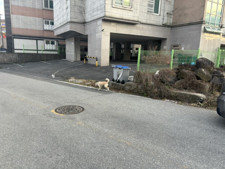 짱아PC방 이미지