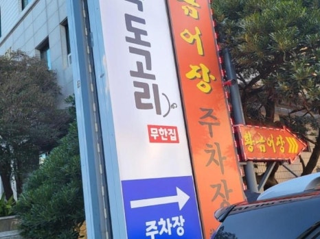 흑도고리 이미지