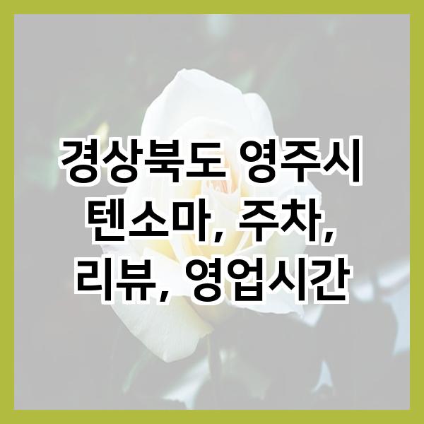 텐소마 이미지