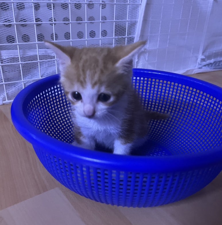 해와달 이미지
