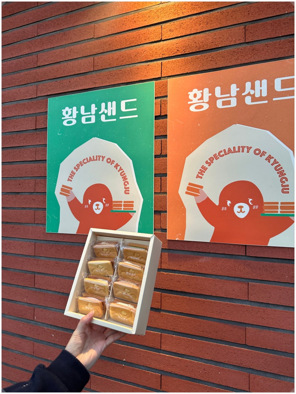 샌드베어 이미지