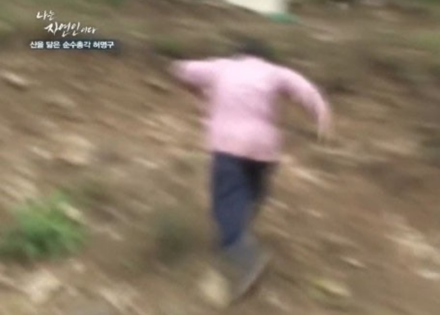 예빛 이미지