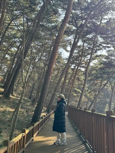목촌포크 이미지